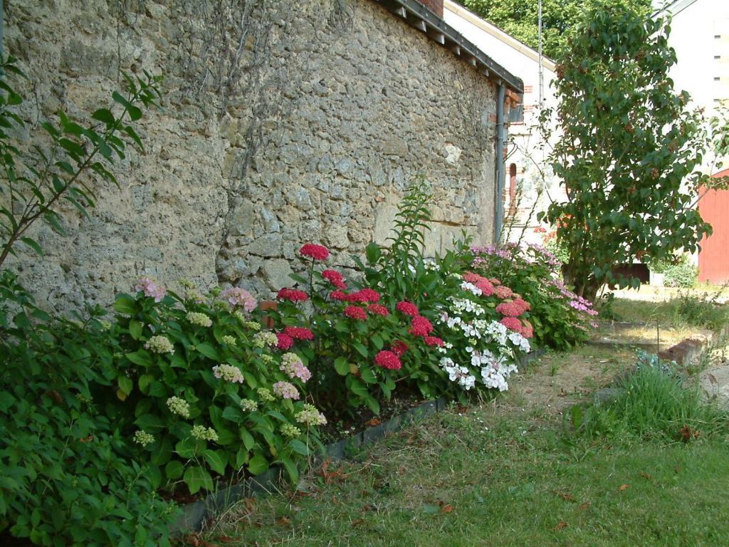 Chateau Du Beugnon Bed & Breakfast Tigné Dış mekan fotoğraf